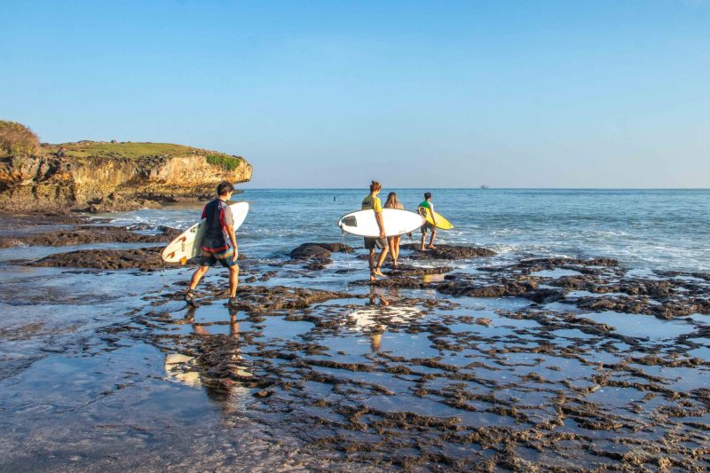 Surf today on sale